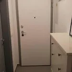 Διαμέρισμα Brand New Place Ρόβινι