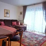 Brand New Place Ρόβινι